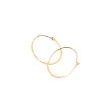 Load image into Gallery viewer, Danielle Earring